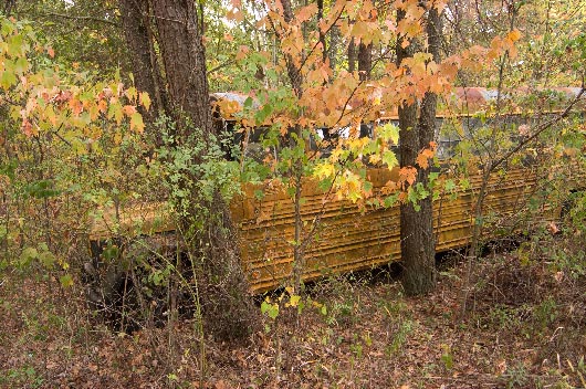 Abandoned School Bus, Fisher's Ridge, Liberty, West Virginia