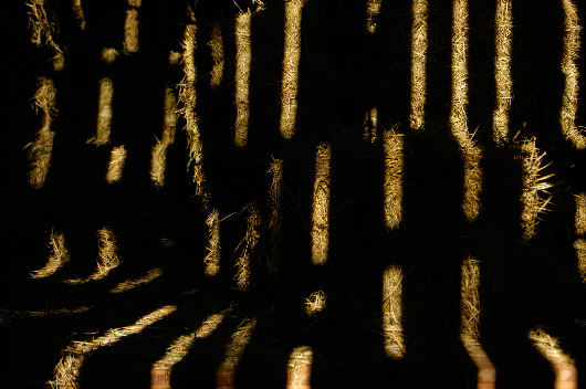Hay bales in slats of light through barn wall, Liberty, West Virginia