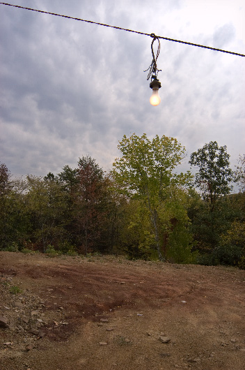 Bulb, Liberty, West Virginia