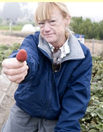 Photo courtesy of Homeless Garden Project 
