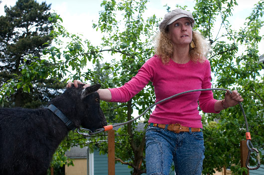 Katie Braun with Ebony, the unsheeped, Glisan Community Garden, Portland, Oregon